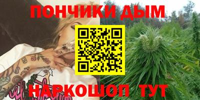 крисы Коммунар