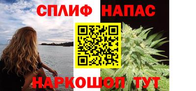 крисы Коммунар
