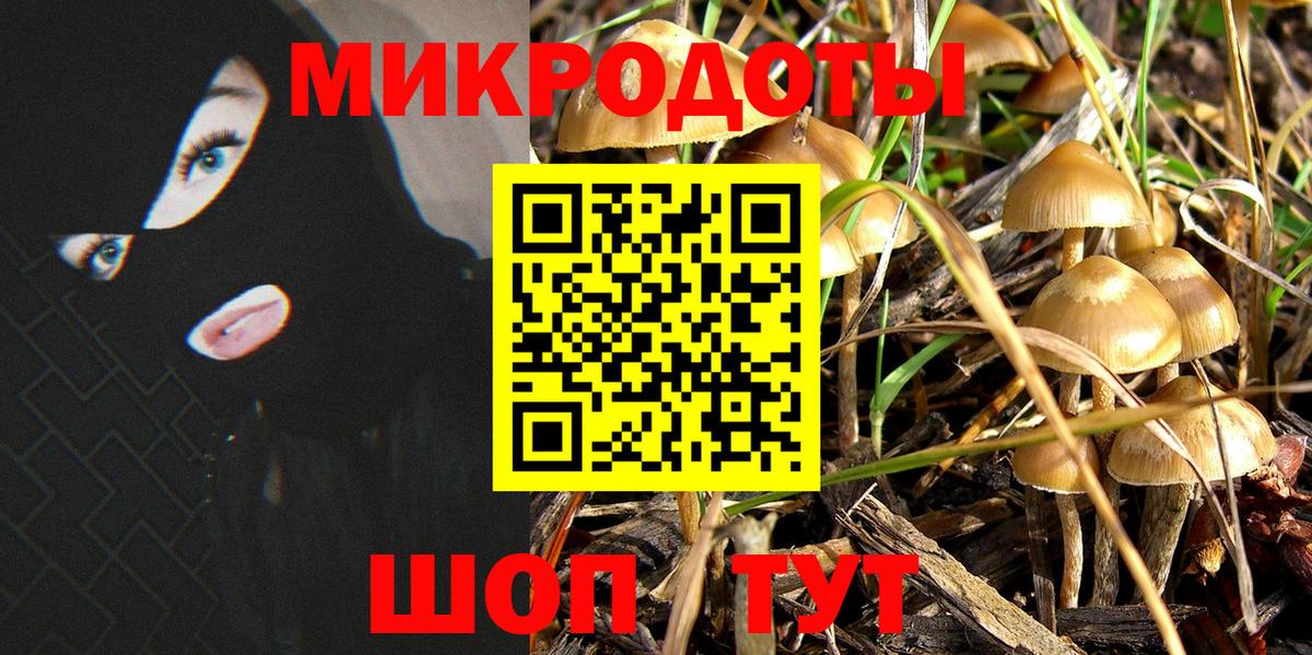 Псилоцибиновые грибы Psilocybine cubensis Калач-на-Дону