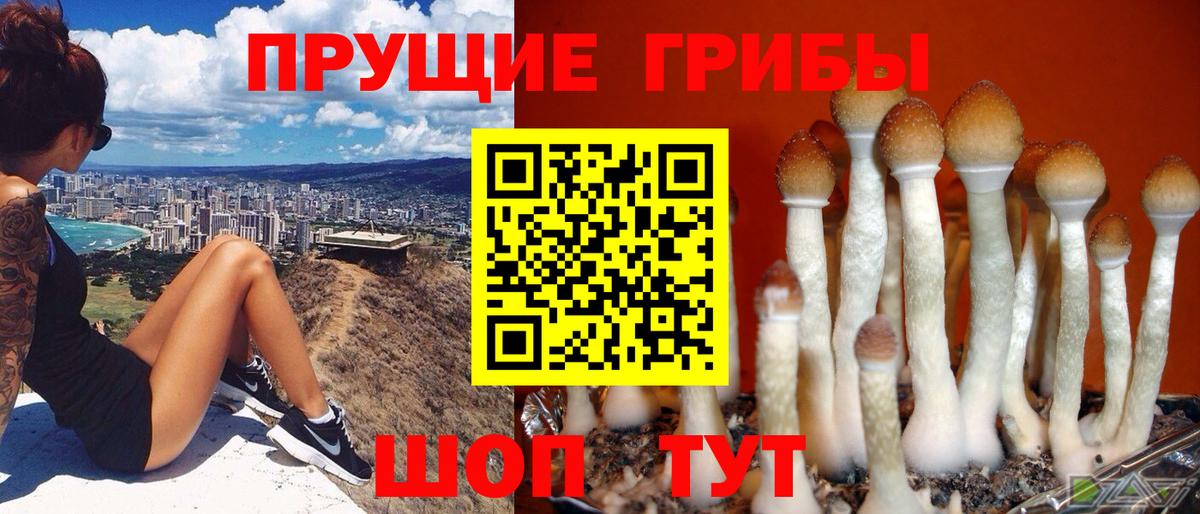 Калач-на-Дону  Галлюциногенные грибы Psilocybe  Псилоцибиновые грибы мухоморы  Вход с VPN 