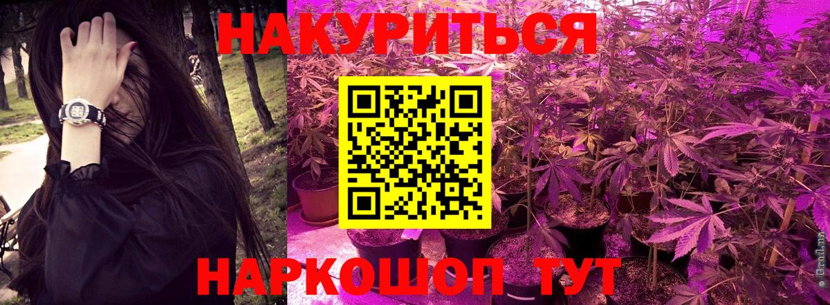 МАРИХУАНА семена  Марихуана индика  Бошки Шишки планчик  Вход с VPN  Калач-на-Дону  Бошки Шишки конопля 